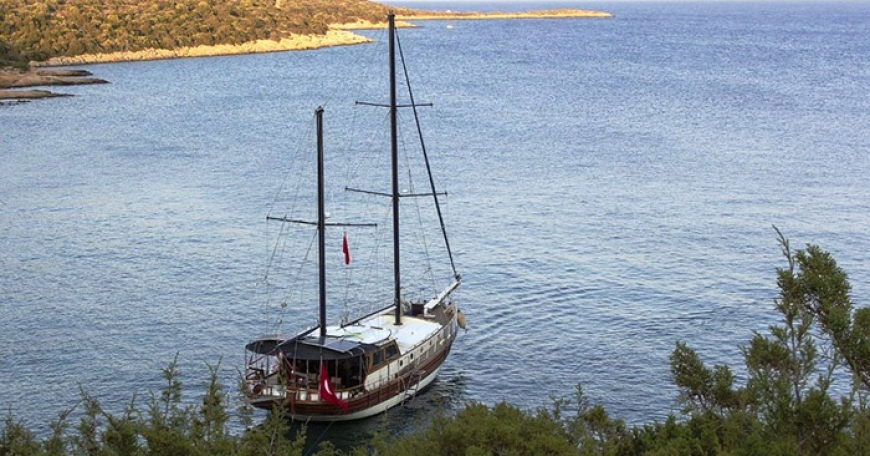 Goleta Cekin