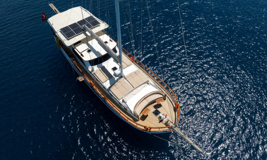Goleta Eagle Eyes